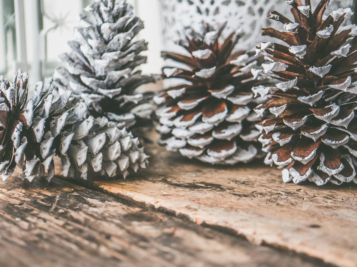 Happy Hypnotic Holidays!